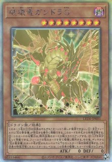 遊戯】遊戯王OCG デュエルモンスターズ 「LEGACY OF DESTRUCTION